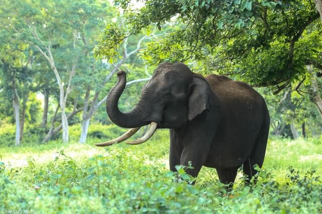 Historia Słonia, Jeźdźca i pewnej Drogi – o gotowości do zmiany