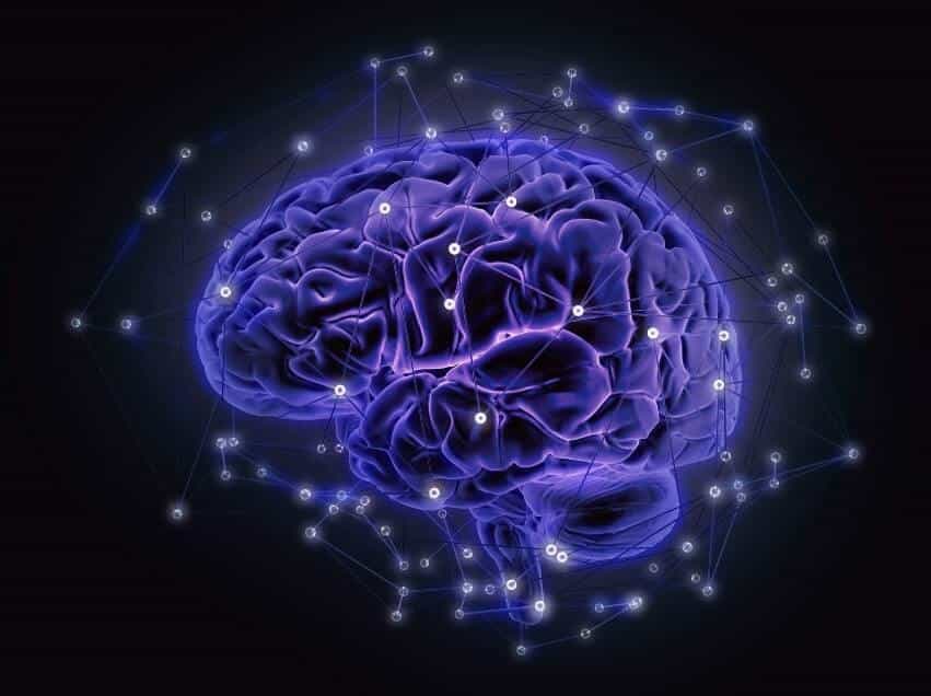 Grafika przedstawiająca mózg, mająca korespondować z opisywanym w artykule zagadnieniem sztucznej inteligencji
